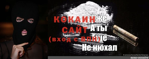 тгк Алексин