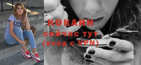 МДПВ Козловка