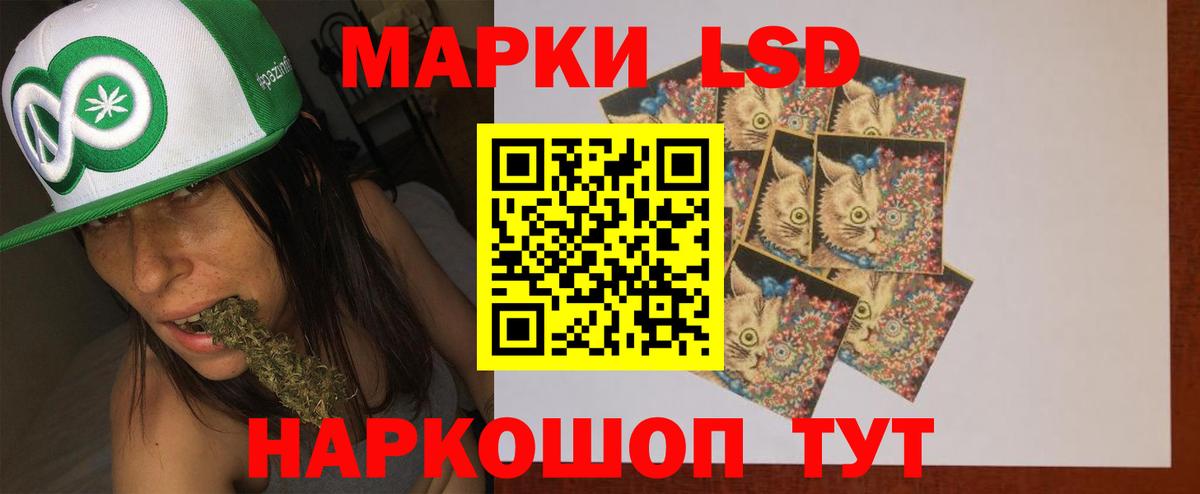 Можга  ЛСД экстази кислота  Вход с VPN  LSD-25 экстази кислота 