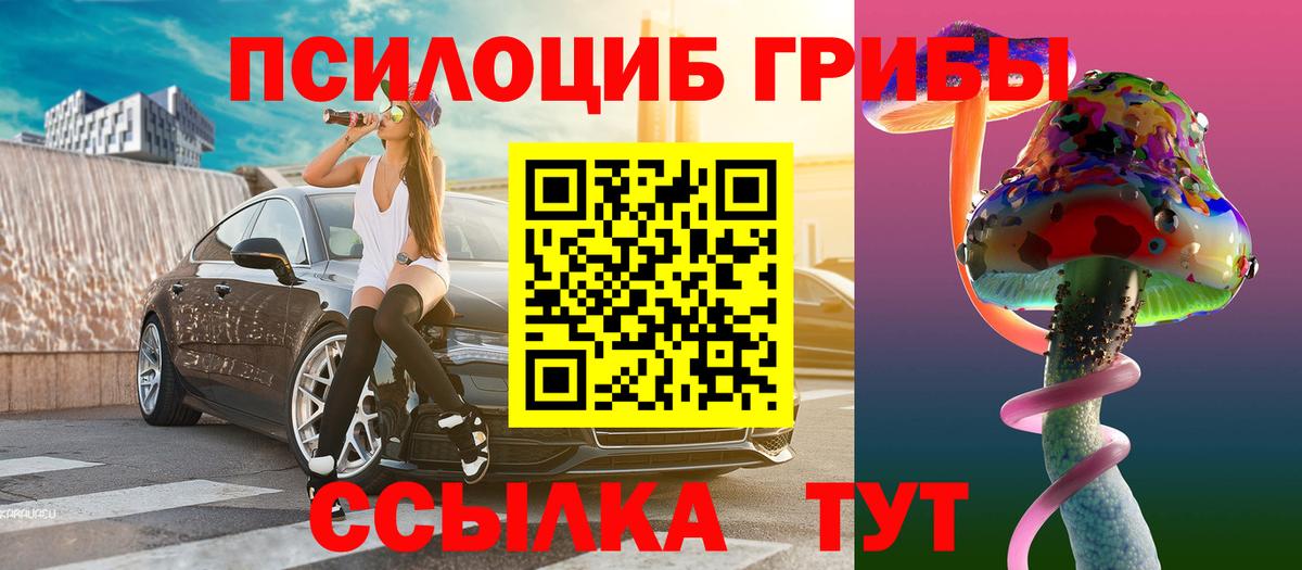 Псилоцибиновые грибы Psilocybine cubensis Можга